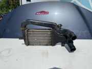 Kühlerluftumlenker OPEL ZAFIRA A (F75_) 2.2 DTI 16V 24436438DF1