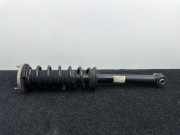 Stoßdämpfer hinten links BMW 5 Touring (G31) 530 d 6866620