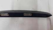 Kennzeichenbeleuchtung HYUNDAI SANTA FÉ II (CM) 2.2 CRDi GLS 873112B000