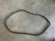 Türgummi links vorne Audi Q5 (8R) 8R0831721