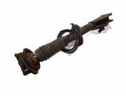 Stoßdämpfer vorne links MAZDA MPV II (LW) 2.0 LE3334900A