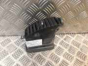 Mittelkonsolenschacht NISSAN PATHFINDER III (R51) 2.5 dCi 4WD 68750-EB301