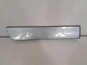 Türverkleidung rechts hinten BMW X3 (F25) 8048156