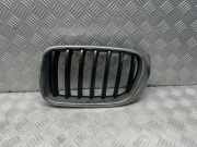 Vorderer oberer Gitter BMW X3 (F25) xDrive 20 d 7338571