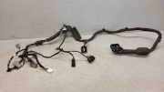 Kabel Tür Ford Focus III (DYB) 21120601