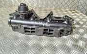 Ansaugbrücke RENAULT VEL SATIS (BJ0_) 2.2 dCi (BJ0E, BJ0F) 98064130