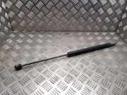 Heckklappe Gasdruckfeder links RENAULT MEGANE II Estate (KM0/1_) 1.9 dCi 8200119498