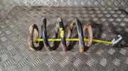Feder vorne links RENAULT MASTER II Furgon (FD) 2.5 dCi 120