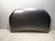 Motorhaube VW Caddy IV Kasten (SAA, SAH) 2K5823155