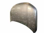 Motorhaube SUZUKI GRAND VITARA II (JT, TE, TD) 1.6 4WD (JB416)