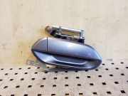 Türgriff rechts hinten Honda Insight (ZE) TM8FRR