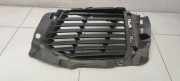 Gitter vorne unten PEUGEOT 5008 II (MC, MJ, MR, M4) 1.5 BlueHDi 9810870377
