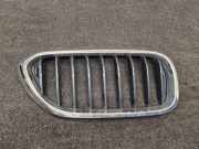 Vorderer oberer Gitter BMW 5 Touring (G31) 530 d 8070470