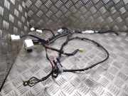 Kabelbaum Nissan Leaf (ZE0) 240523NA1A