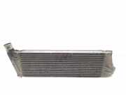 Ladeluftkühler RENAULT MEGANE II (BM0/1_, CM0/1_) 1.5 dCi 8200115540