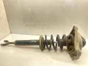 Stoßdämpfer vorne rechts AUDI A6 (4F2, C6) 3.0 TDI quattro 4F0413031 4F0413031BQ