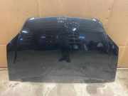 Motorhaube HONDA CR-V III (RE_) 2.2 i-CTDi 4WD (RE6)