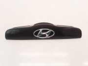 Kennzeichenleuchte Hyundai Getz (TB) 873101C000