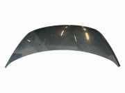 Motorhaube PEUGEOT 3008 1.6 HDi