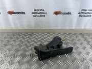 Fahrpedal VW Caddy III Kasten (2KA) 1T1721503H