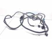 Kabelbaum Opel Signum (Z-C/S) 24419045