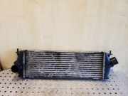 Ladeluftkühler Renault Trafic II Kasten (FL) 988650BB