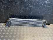 Ladeluftkühler FORD KUGA I 2.0 TDCi 4x4 0G919L440AF
