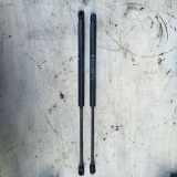 Heckklappendämpfer links Fiat Punto (199) 46744596