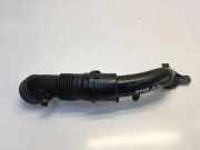 Andere Röhren PEUGEOT 2008 II 1.2 PureTech 100 9824569380