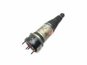 Pneumo-Stoßdämpfer hinten links JAGUAR XJ (X350) 4.2 R308609018