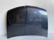 Motorhaube RENAULT VEL SATIS (BJ0_) 2.0 16V Turbo (BJ0K)