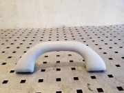 Dachgriff vorne links