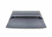 Gitter für Kofferraum Ablage LEXUS IS III (_E3_) 300h (AVE30_) 8197753010