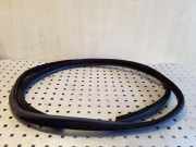 Türdichtung BMW 3er Touring (E91)