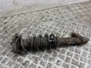 Stoßdämpfer hinten links PORSCHE 911 (996) 3.4 Carrera