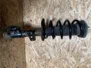 Stoßdämpfer vorne links VW CRAFTER Furgon (SY_) 2.0 TDI RWD 2N0413031BJ