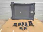 Dachsäule BMW X6 (G06, F96) 8099874