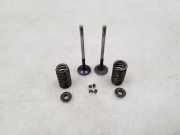 Auslassventil BMW 5er (F10)