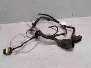 Kabel Tür Opel Vectra C CC (Z02) 9310803