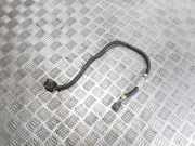 Kabelbaum RENAULT TWINGO III (BCM_) 1.0 SCe 70 240534013R
