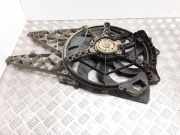 Kühlmodul Fiat Doblo Van (263) 896000600