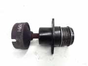 Riemenscheibe für Generator Ford Mondeo IV (BA7)