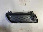Gitter vorne unten BMW X3 (F25) sDrive 18 d 7249595