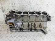 Motorblock BMW 5 (E39) 525 i 256S3