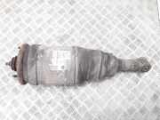 pneumatischer Stoßdämpfer hinten rechts