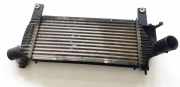Ladeluftkühler NISSAN PATHFINDER III (R51) 2.5 dCi 4WD 14461EB360