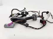 Türverkabelung hinten links OPEL INSIGNIA A Sedan (G09) 2.0 CDTI (69)