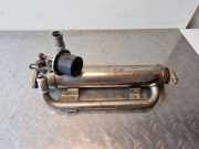 Abgaskühler VW Passat B6 (3C2) 03G131512AE