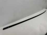 Dachleiste links MERCEDES-BENZ R (W251, V251) R 320 CDI 4-matic (251.022, 251.122)