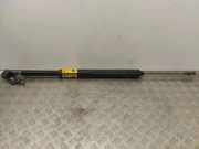 Heckklappe Gasdruckfeder links TOYOTA LAND CRUISER (_J15_) 3.0 D-4D (KDJ150_)